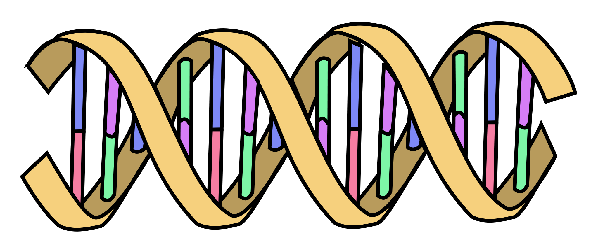 ../../_images/dna.png
